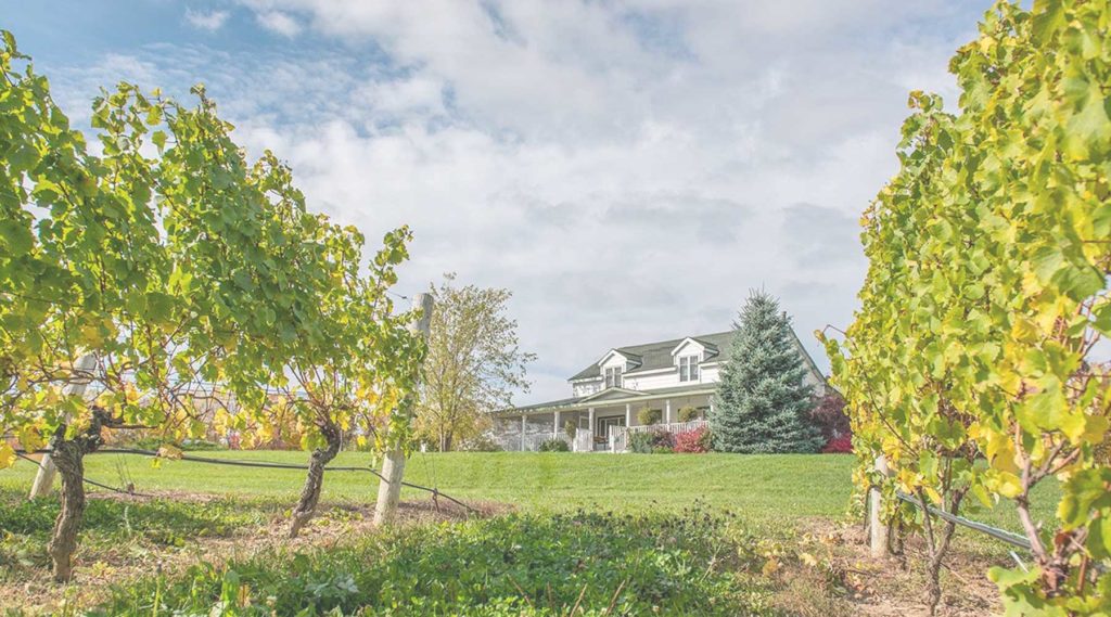 Winery