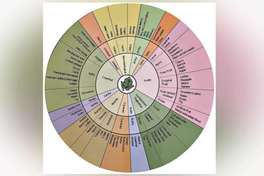 wine tasting wheel