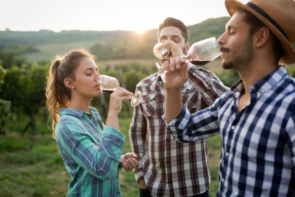 Friends drinking wine