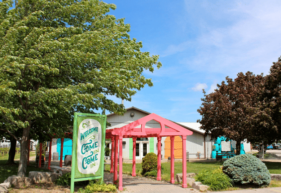 niagara cider & wine