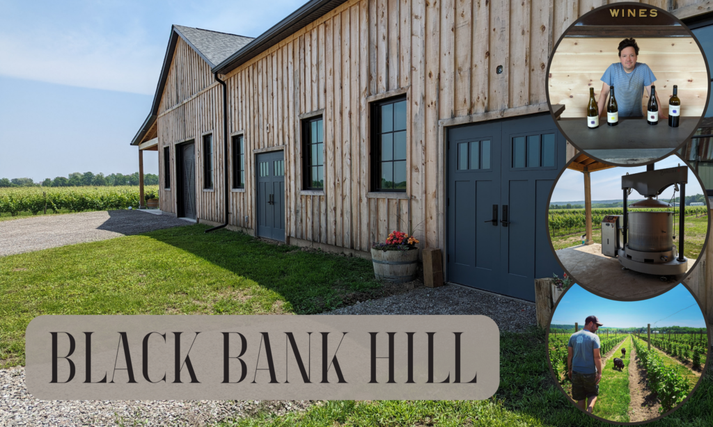 wine barn