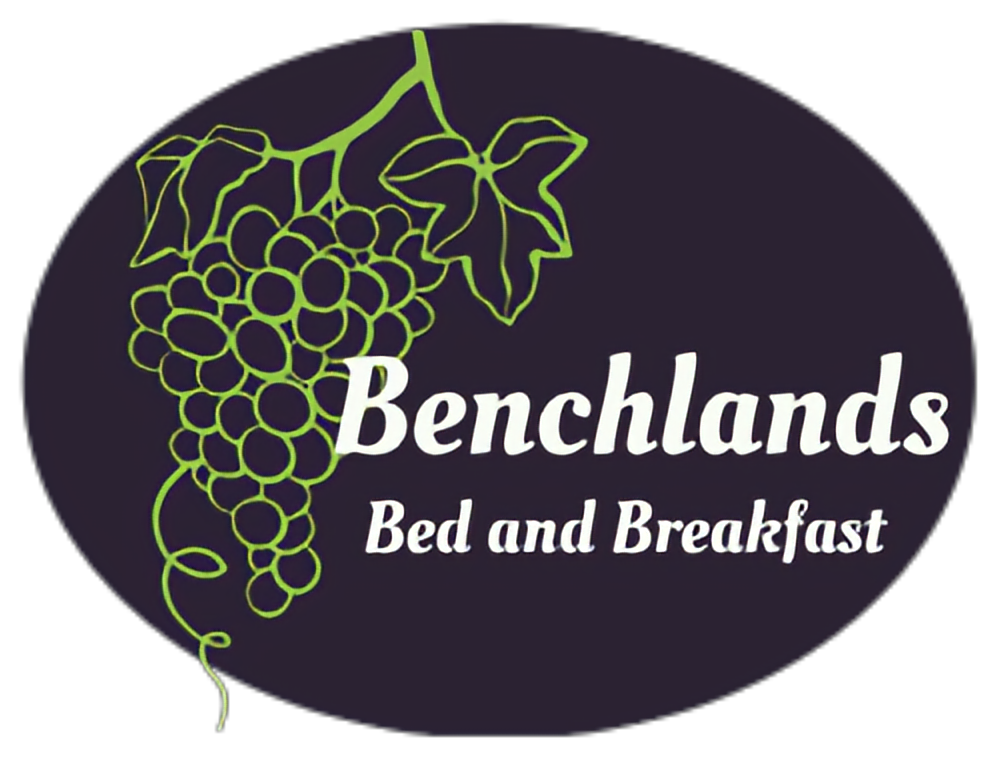 B&B Logo
