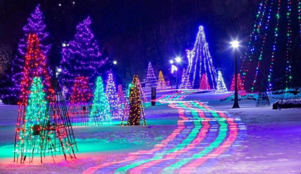 christmas lights & snow